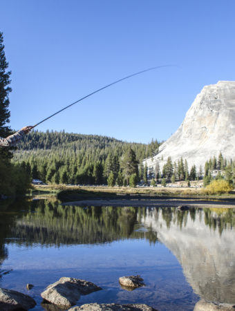 A young man fly-fishes in Tuolumne Meadows, California.