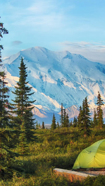 Camping in Denali National Park
