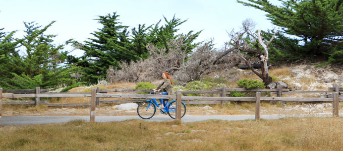 Biking the Monterey Bay Coastal Recreation Trail