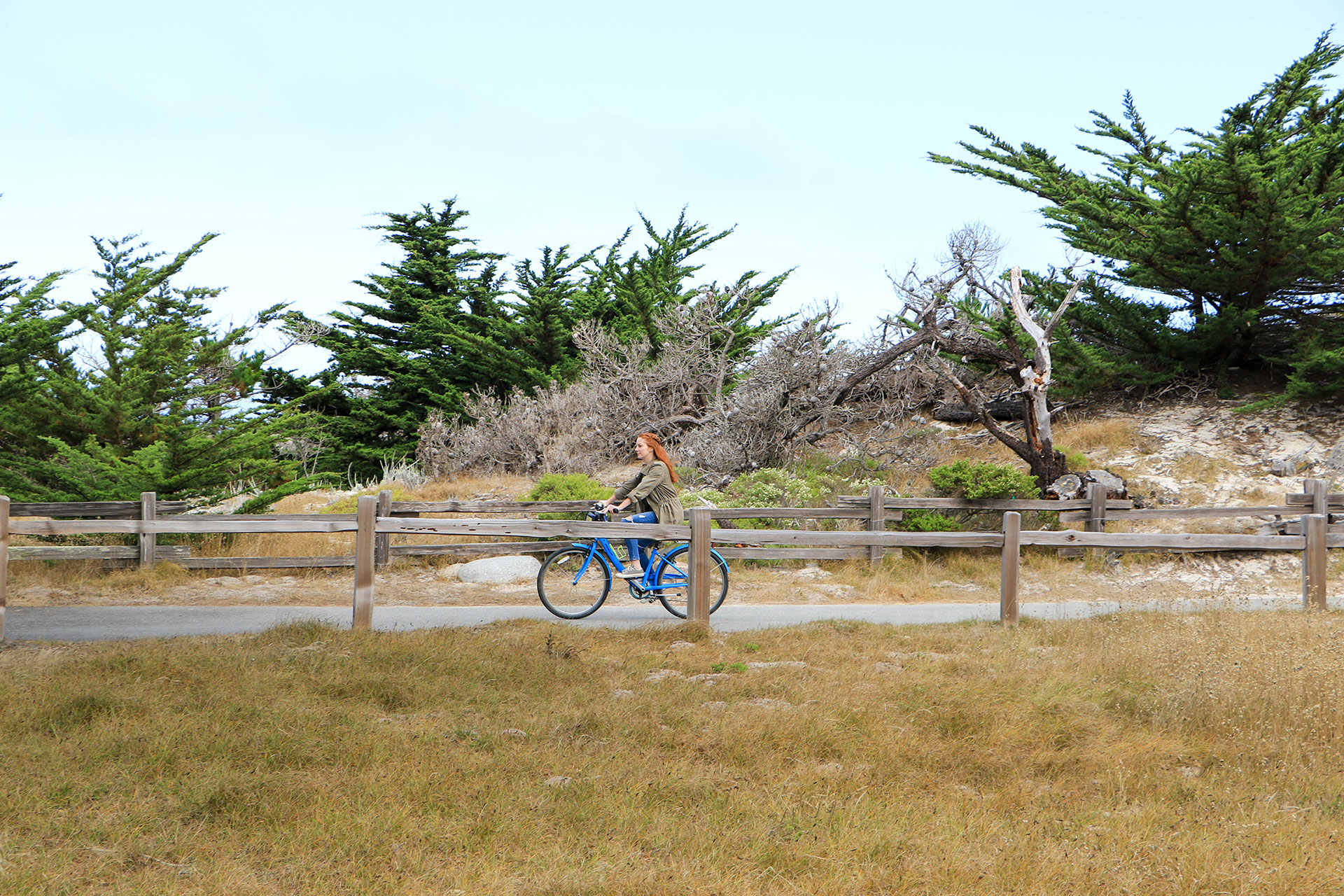 Biking the Monterey Bay Coastal Recreation Trail