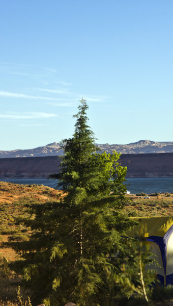 Bullfrog Campground