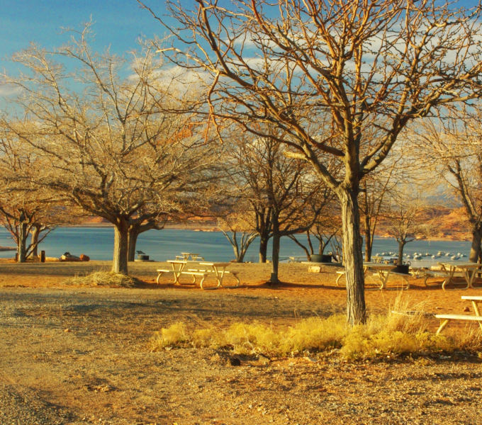 Halls Crossing Campground at Lake Powell