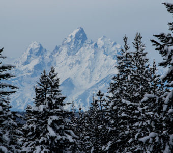 The snow-capped tops of the Tetons.