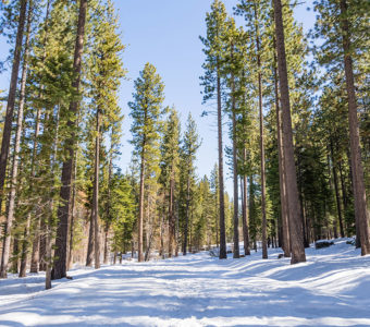 Winter wonderland or summer escape? Lake Tahoe has so much to offer.